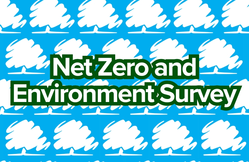 Net Zero Survey Banner
